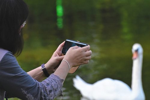 Woman capturing a picture of the lake