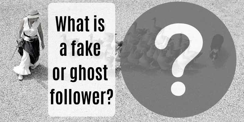 What is a fake, inactive or ghost follower on IG