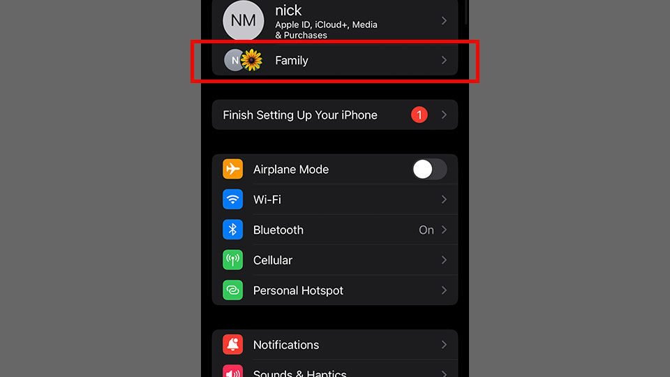 Comment annuler le partage des abonnements individuels avec la famille sur iPhone