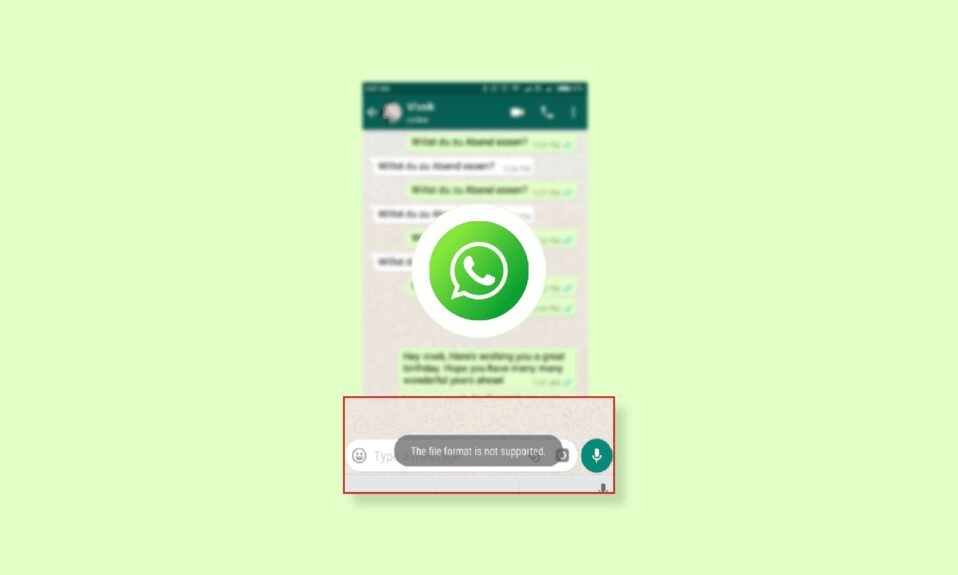 Correction du format de fichier WhatsApp non pris en charge sur Android