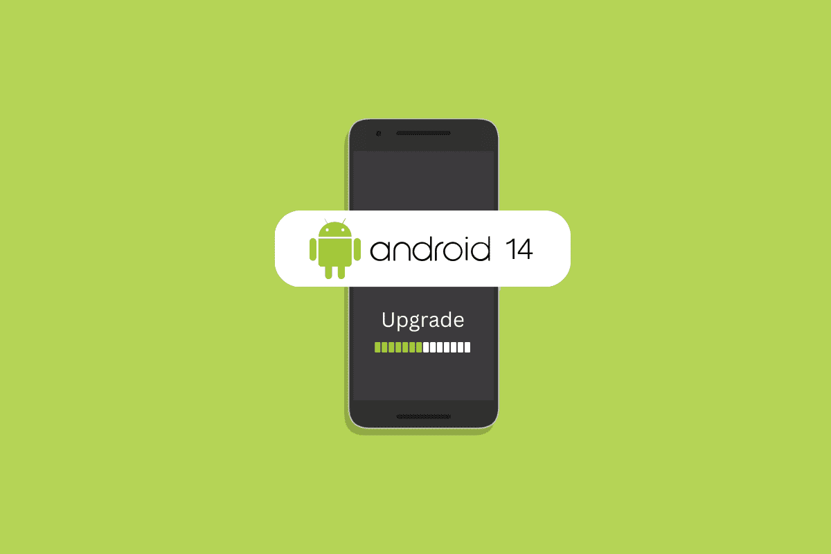 Devriez-vous passer à Android 14 ?